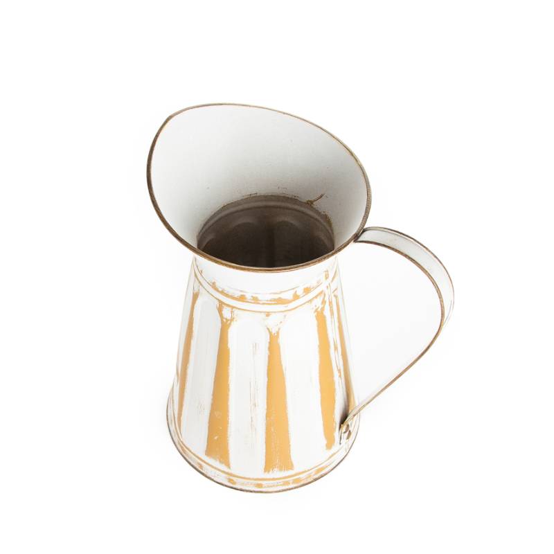 وعاء نبات حديد صغير 1190